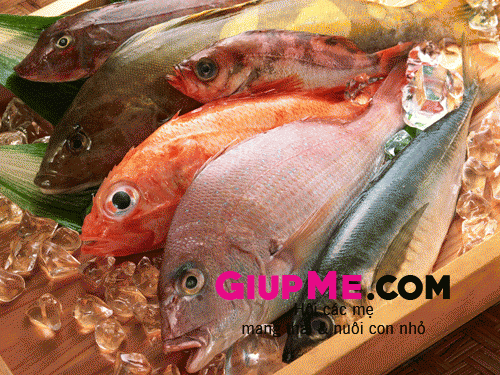Tránh ăn cá chứa hàm lượng thủy ngân cao khi mang thai