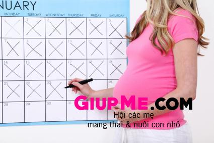 Lịch khám thai định kỳ đầy đủ mẹ bầu cần biết