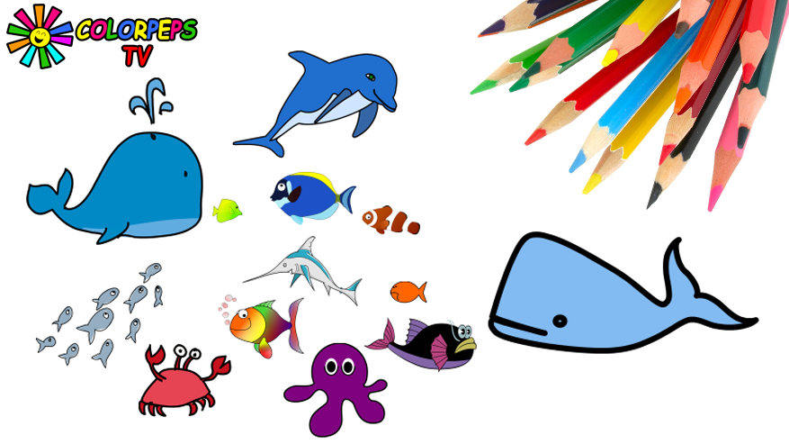 How to Draw Fish, Crab, Octopus and Coloring Sea Fishes for Kids